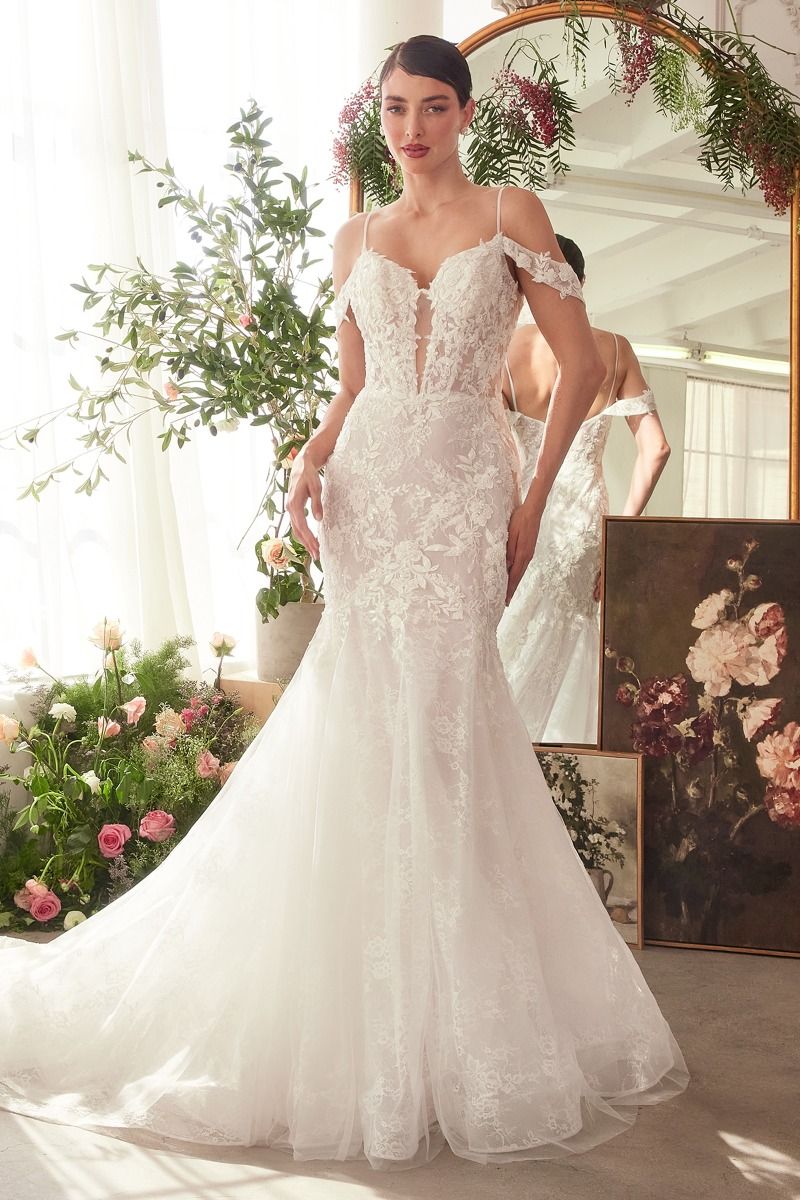 WL051 FITTED LACE MERMAID WEDDING DRESS