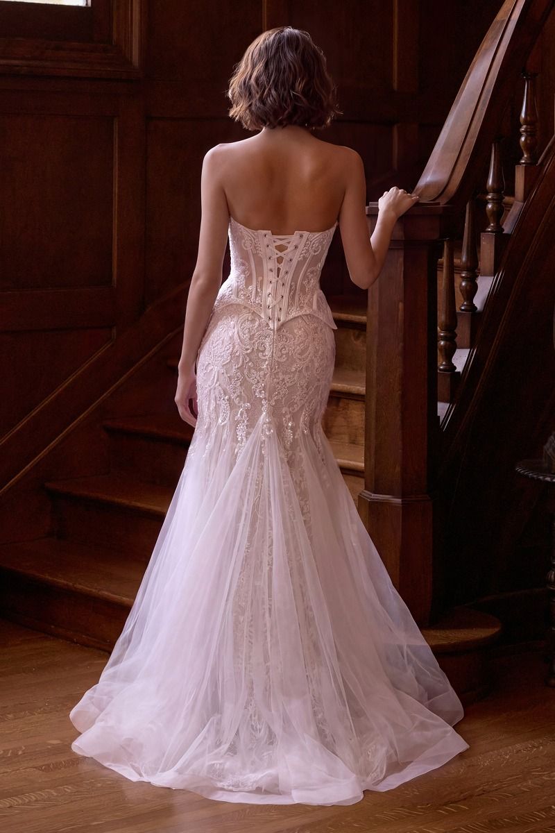 Corset Sheer layered tulle with intricate lace appliqué,